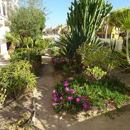 Apartamento Pequeno Mar Azul * Torrevieja